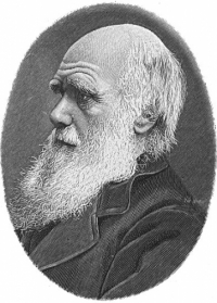 DISPUTATIO AVEC DARWIN