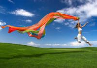 La joie de l’Evangile - Evangelii gaudium -