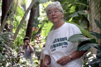Querida Amazonia (Opinion)