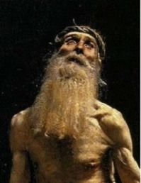 Job, 1-28, la souffrance