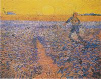 Le grain semé